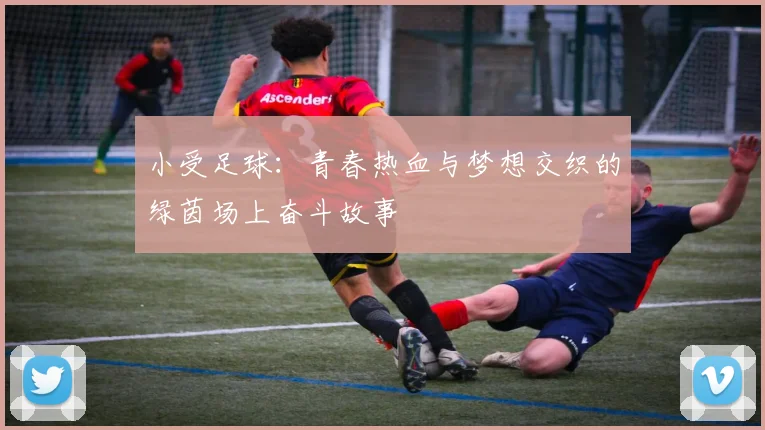 小受足球：青春热血与梦想交织的绿茵场上奋斗故事