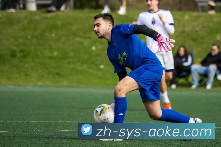 官方网站首页APP 封面图